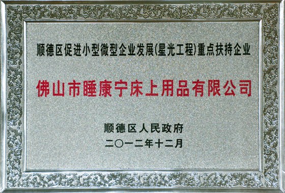 順德星光工程重點扶持企業(yè)證書