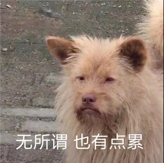22 22