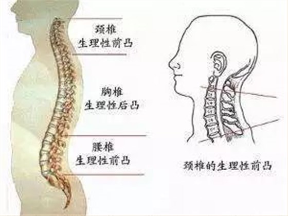 微信圖片_20220429160629