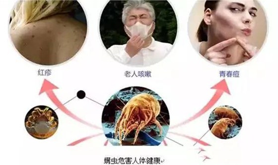涼席批發(fā)