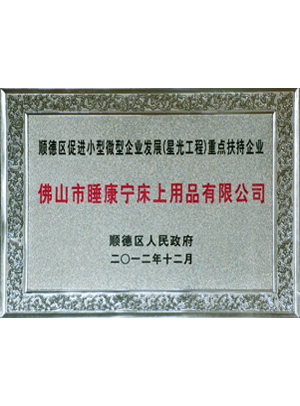 順德星光工程重點(diǎn)扶持企業(yè)證書