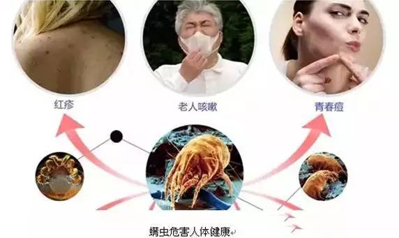 涼席批發(fā)
